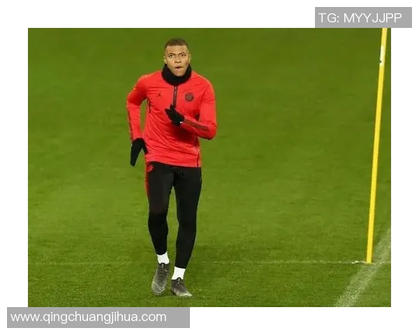 杨姓足球球星的精彩表现与成就解析以及他们在国内外赛场的影响力